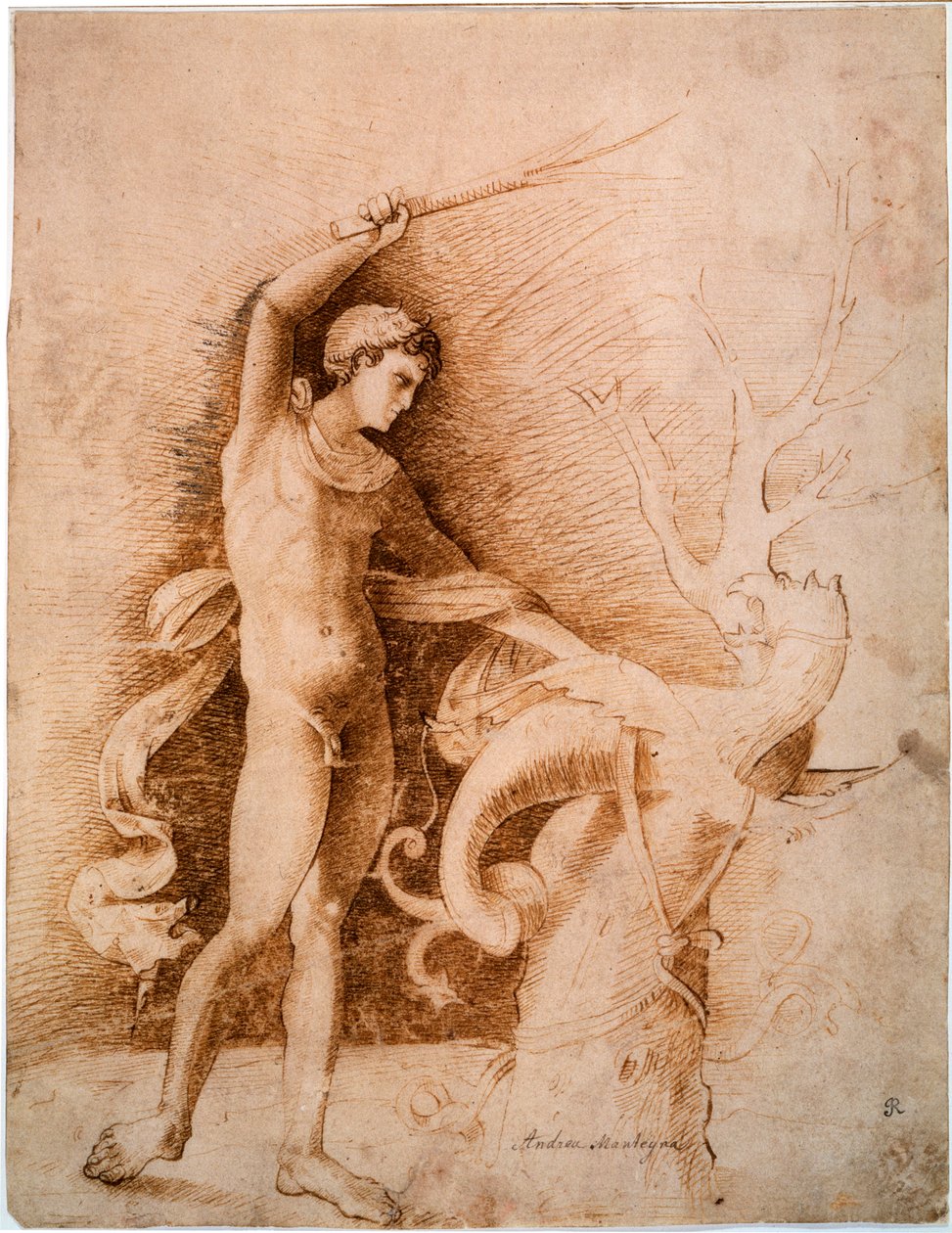 Ung mand Fighting the Dragon, slutningen af det 15. århundrede af Andrea Mantegna