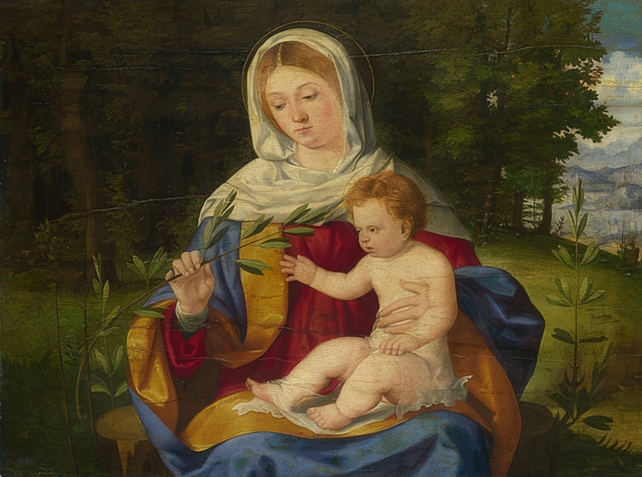 Madonna og barn med olivengren. omkring 1515 af Andrea Previtali