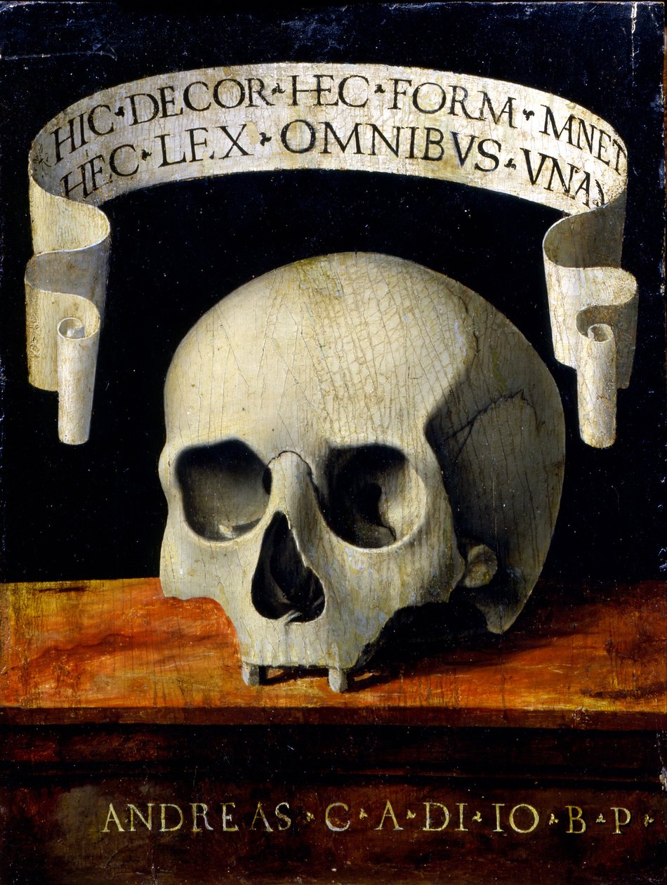 Portræt af en mand - Memento Mori af Andrea Previtali called Cordeliaghi