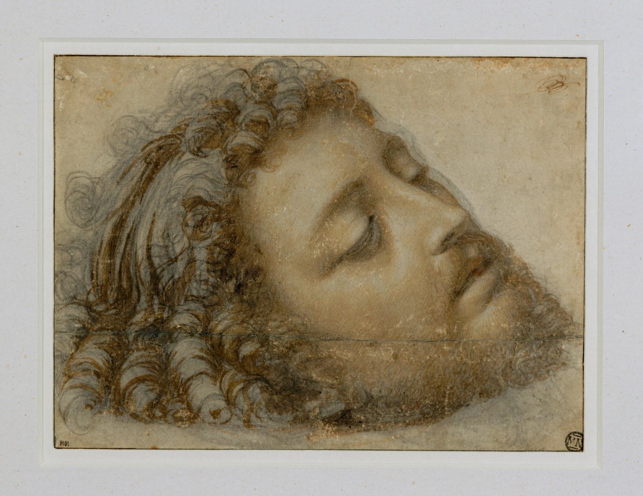 Hovedet af Sankt Johannes Døberen ... af Andrea Solario