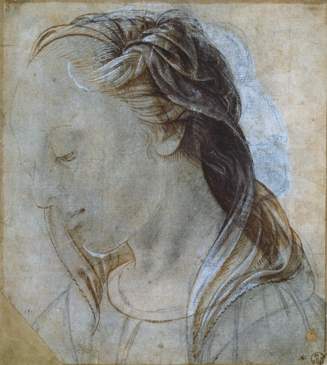 Kvindehoved (tegning) af Andrea Verrocchio