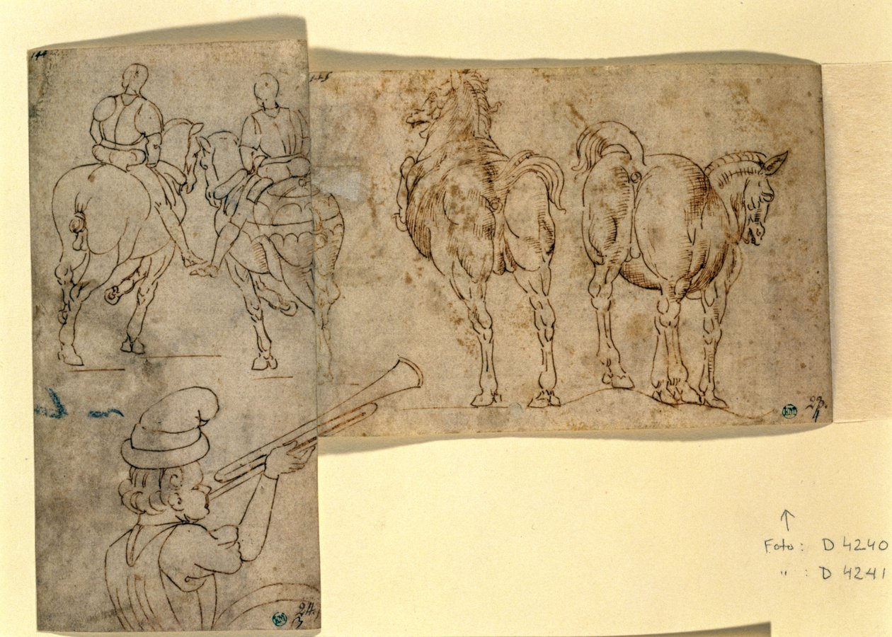 Inv nr.38 recto Skitse af heste, ca. 1460-70 (pen og blæk) af Andrea Verrocchio