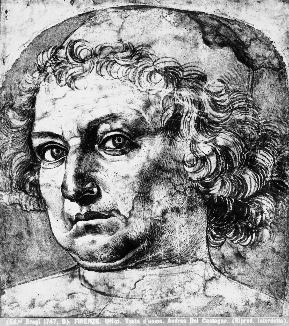 Mands hoved, eller portræt af Andrea del Verrocchio, ca. 1450 af Andrea del Castagno