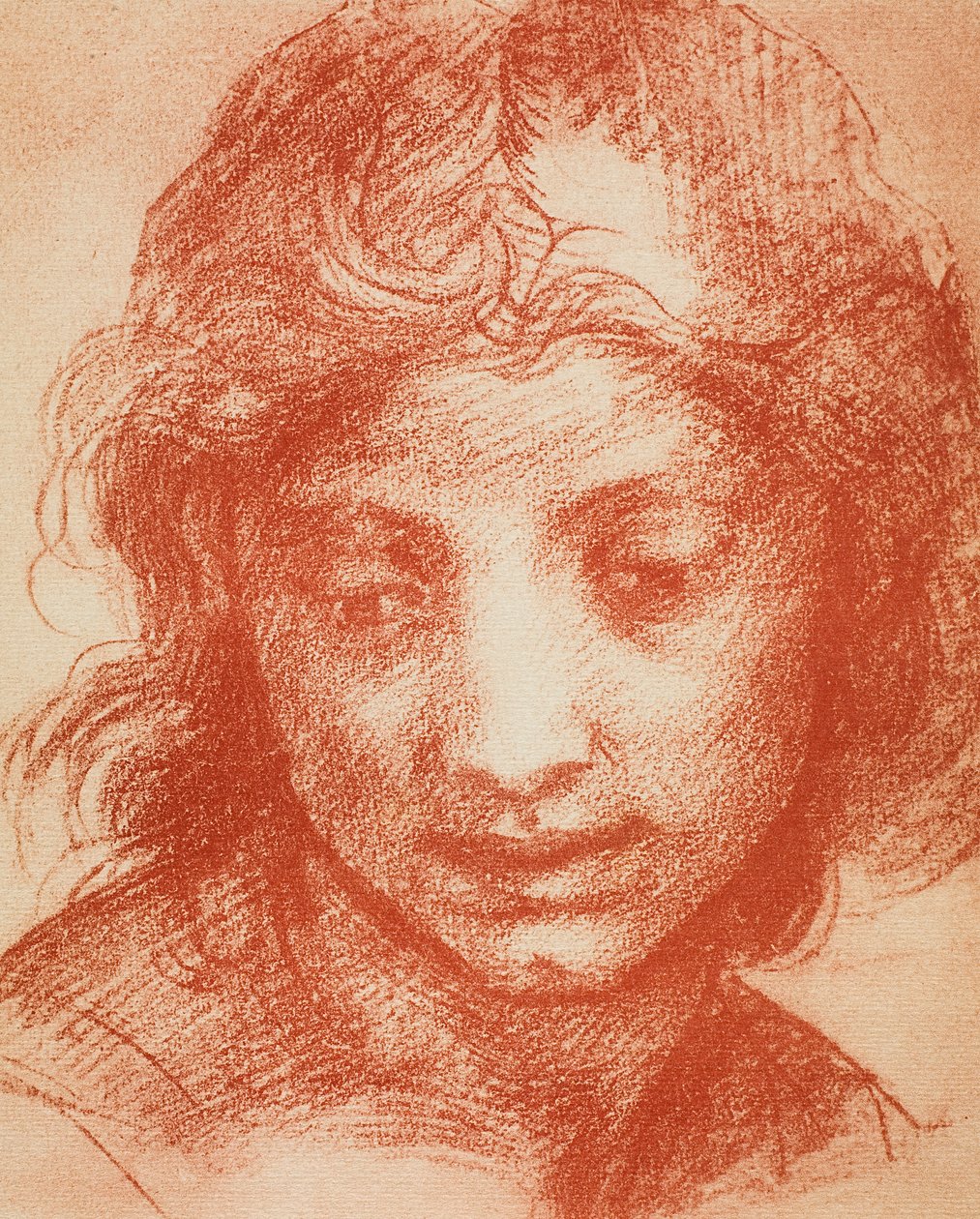 Drenge hoved af Andrea del Sarto