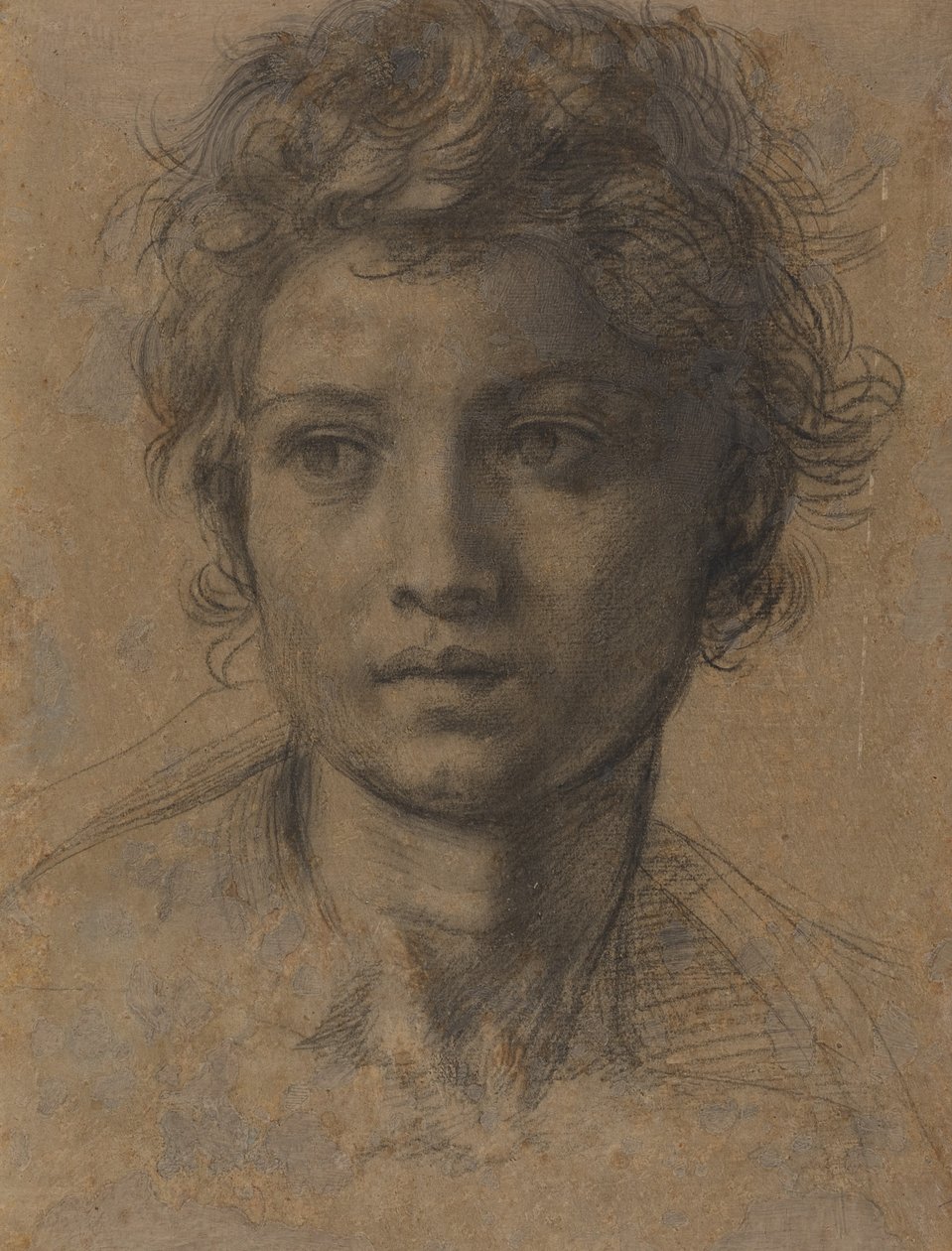 Hoved af Johannes Døberen af Andrea del Sarto