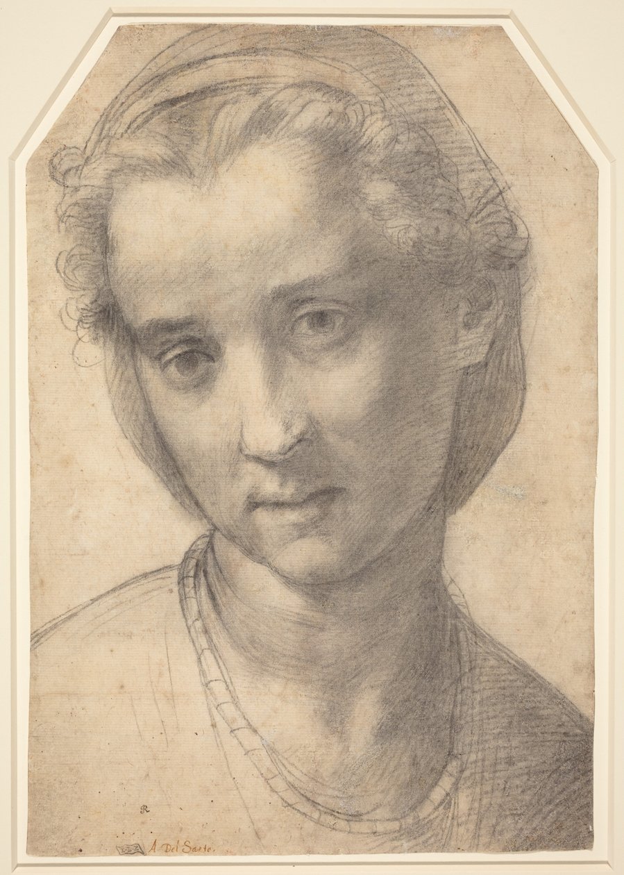 En kvindes hoved af Andrea del Sarto