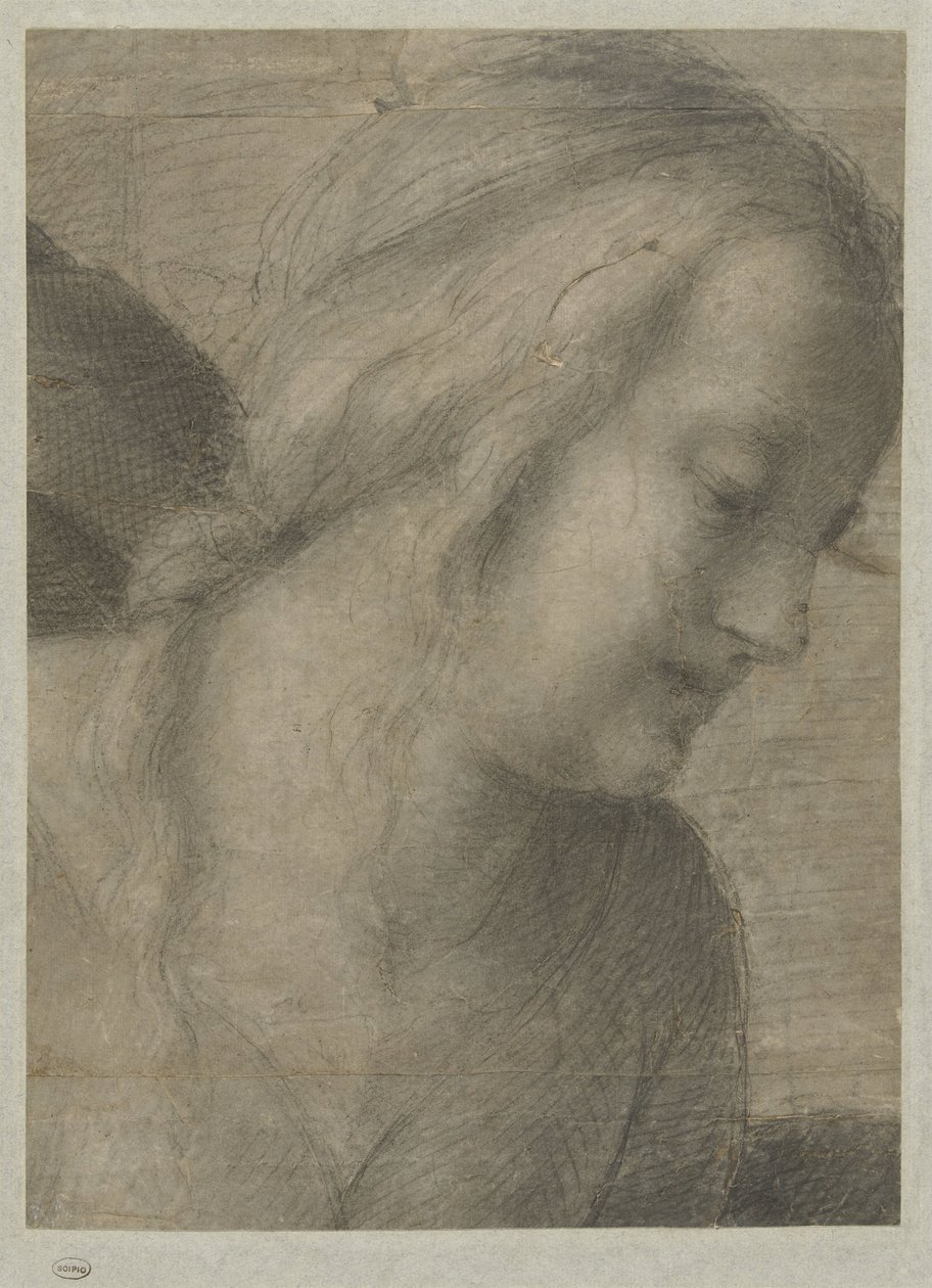 Hoved af Mary, i en tilbedelse af Andrea del Sarto