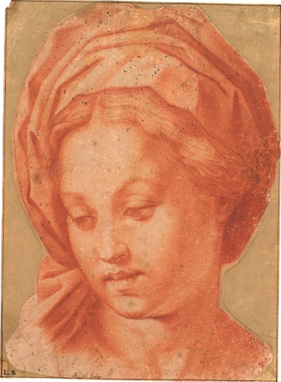 Borghese Madonna af Andrea del Sarto