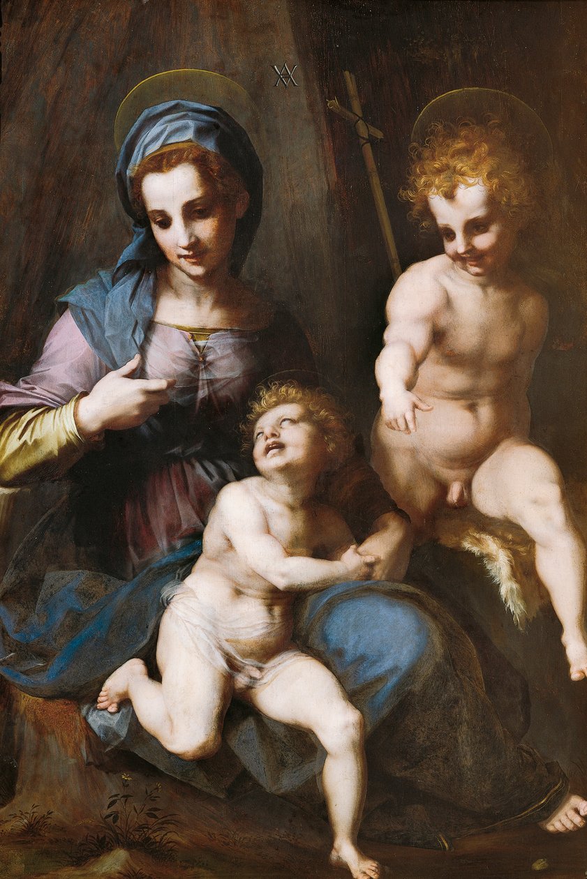 Madonna og barn med spædbarnet Johannes Døberen af Andrea del Sarto
