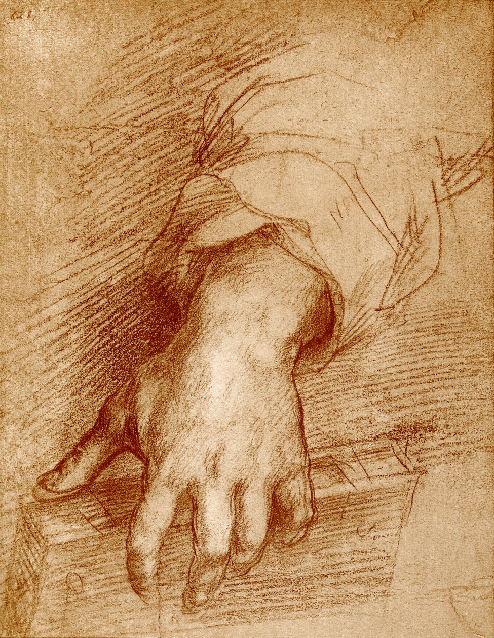 Madonna hånd med bog af Andrea del Sarto
