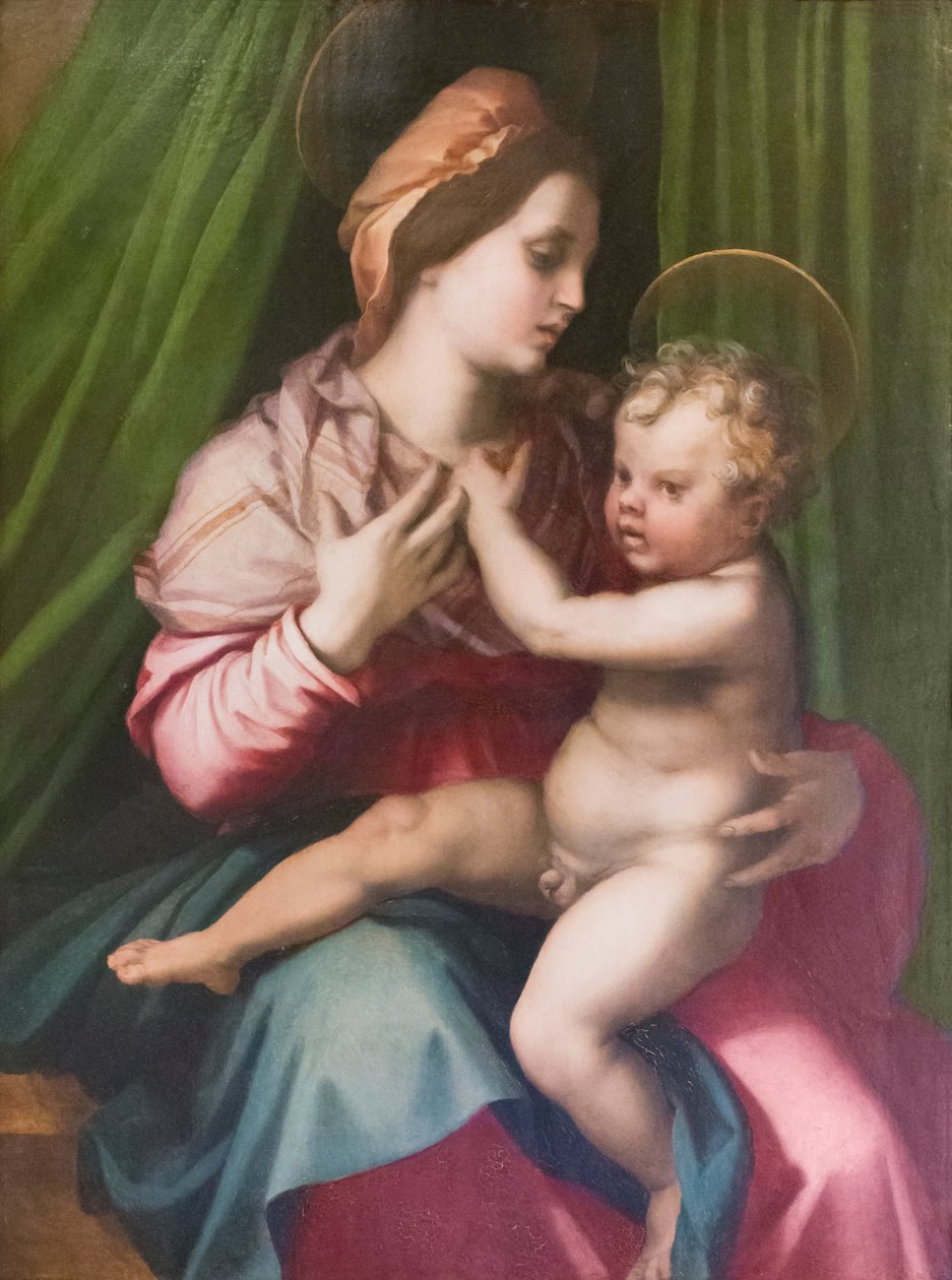 Madonna med barn af Andrea del Sarto