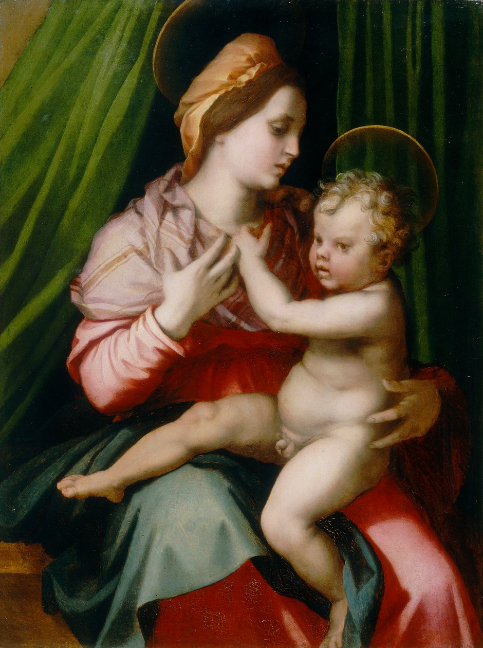 Madonna with Child, maleri af Andrea del Sarto, konserveret på Palatine Gallery i Pitti Palace, Firenze af Andrea del Sarto