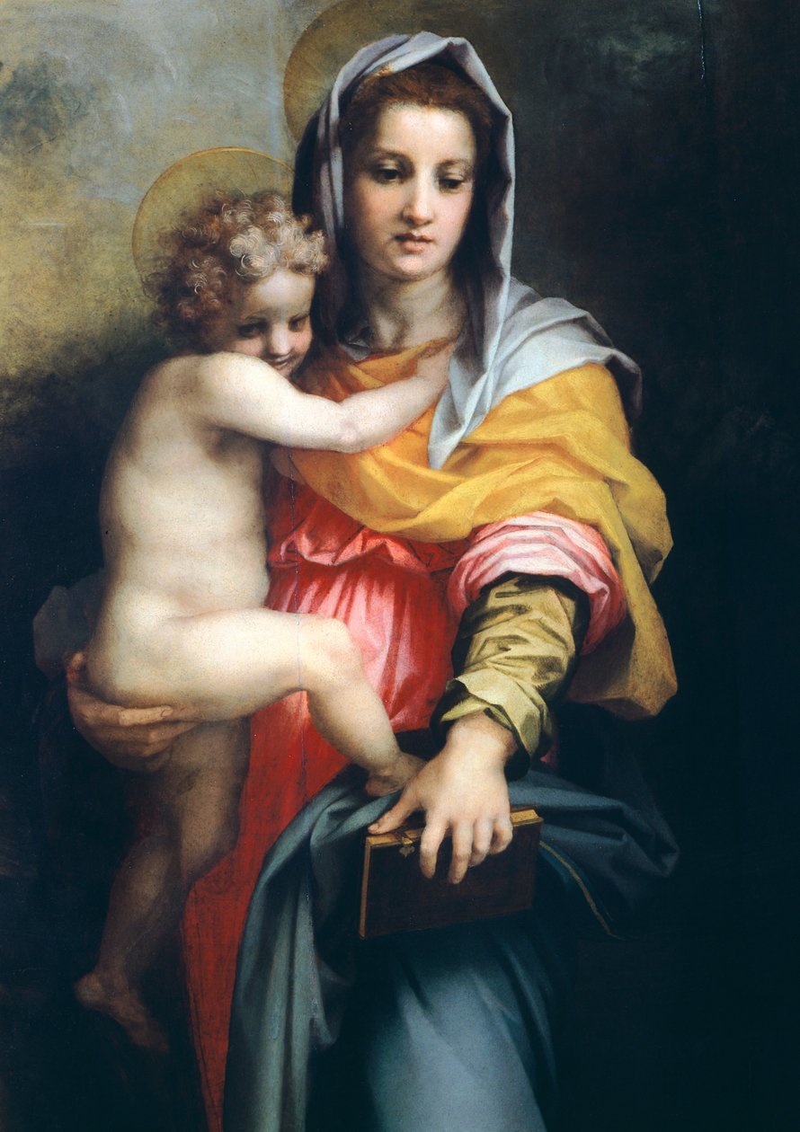Madonna med barn, detalje fra Madonna of the Harpies, 1517, af Andrea del Sarto (1486-1530), olie på træ, 207x178 cm af Andrea del Sarto