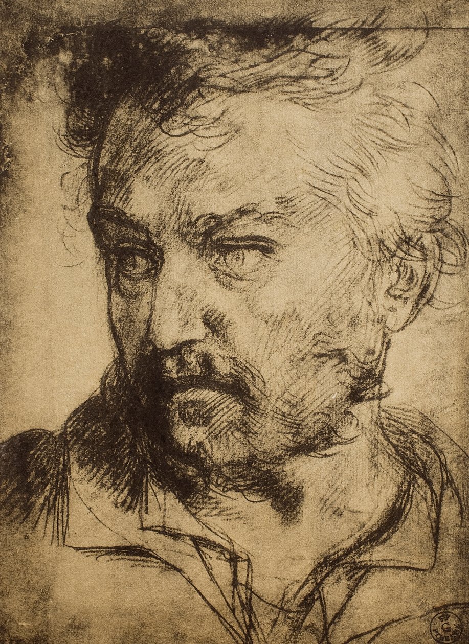 Mans hoved; tegning af Andrea del Sarto. Kabinet for tegninger og tryk, Uffizi Gallery, Firenze af Andrea del Sarto