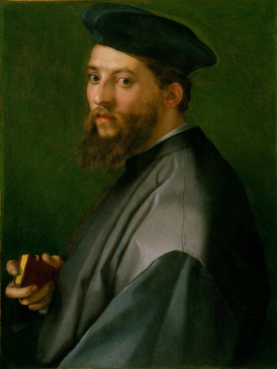 Portræt af en mand af Andrea del Sarto
