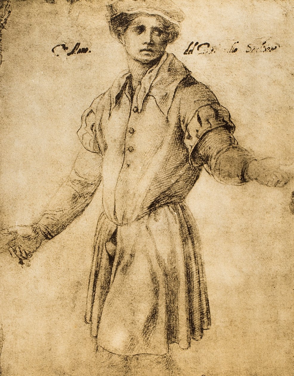 Portræt af en ung florentiner af Andrea del Sarto