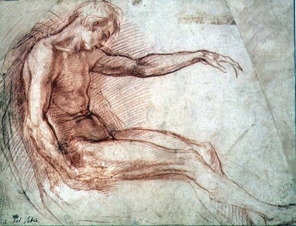 Siddende mandlig nøgen (rødkridt på papir) af Andrea del Sarto