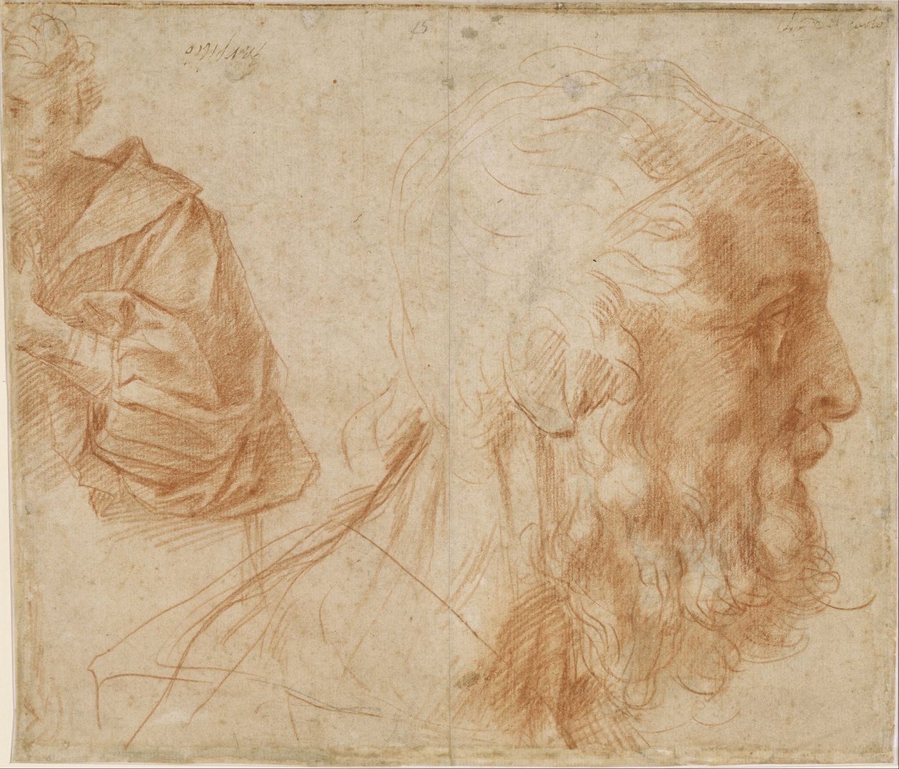 Ark med studier af en ung mand og hovedet af en gammel mand, der kigger til højre (Homer) af Andrea del Sarto