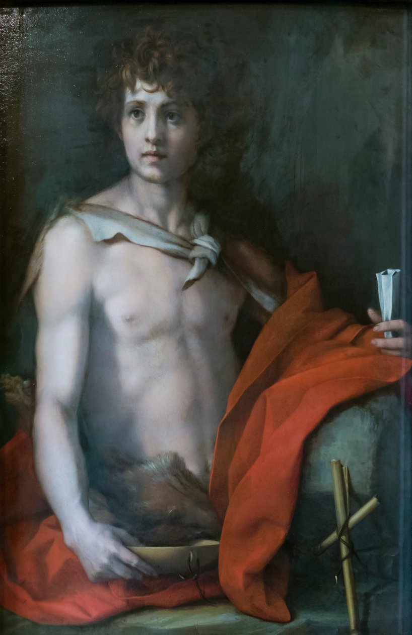 Johannes Døberen af Andrea del Sarto