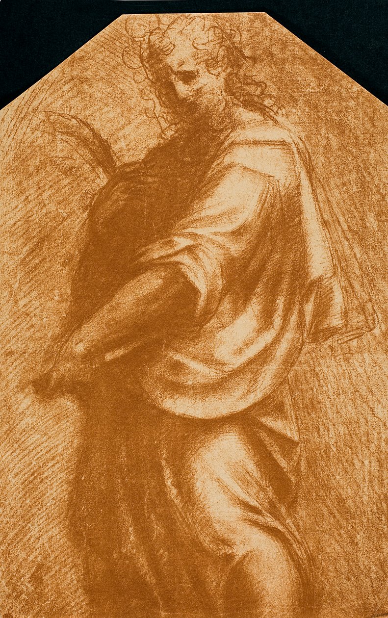 Johannes Døberen af Andrea del Sarto