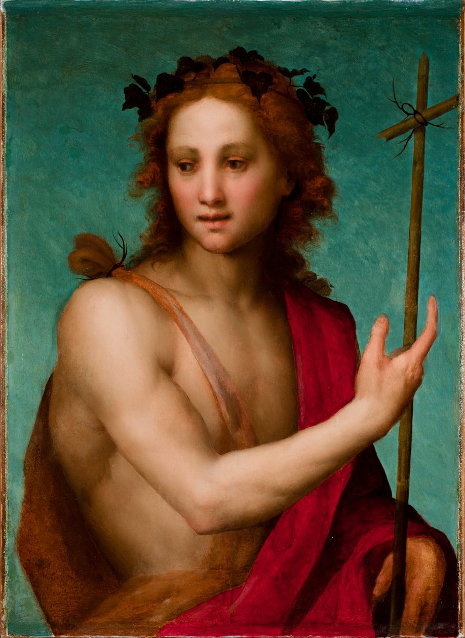 Johannes Døberen, ca. 1517 (olie på panel overført til lærred) af Andrea del Sarto