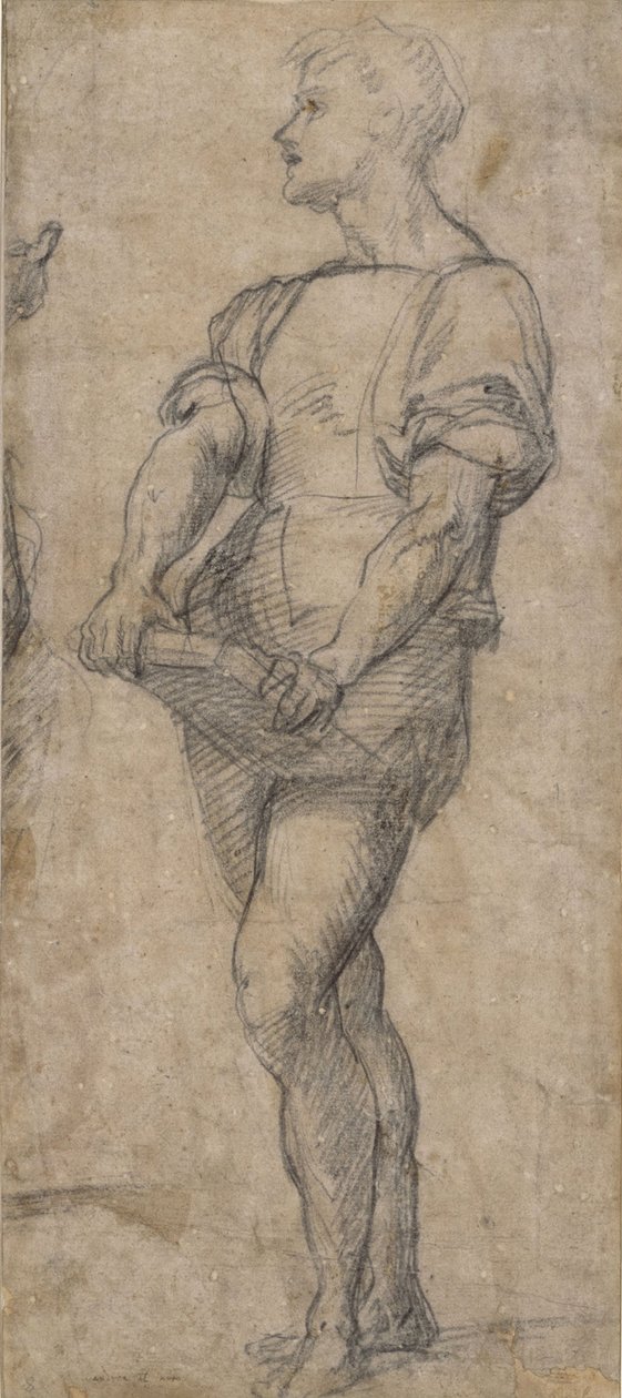 Stående ungdom med en bog, ca 1515 af Andrea del Sarto