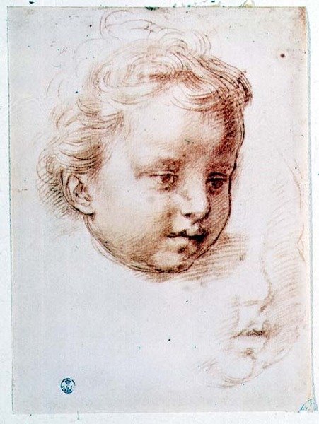 Studie af et barns hoved (kridt på papir) af Andrea del Sarto