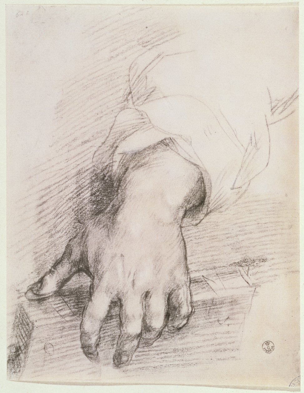 Studie af en hånd til Harpens Madonna (kridt på papir) af Andrea del Sarto