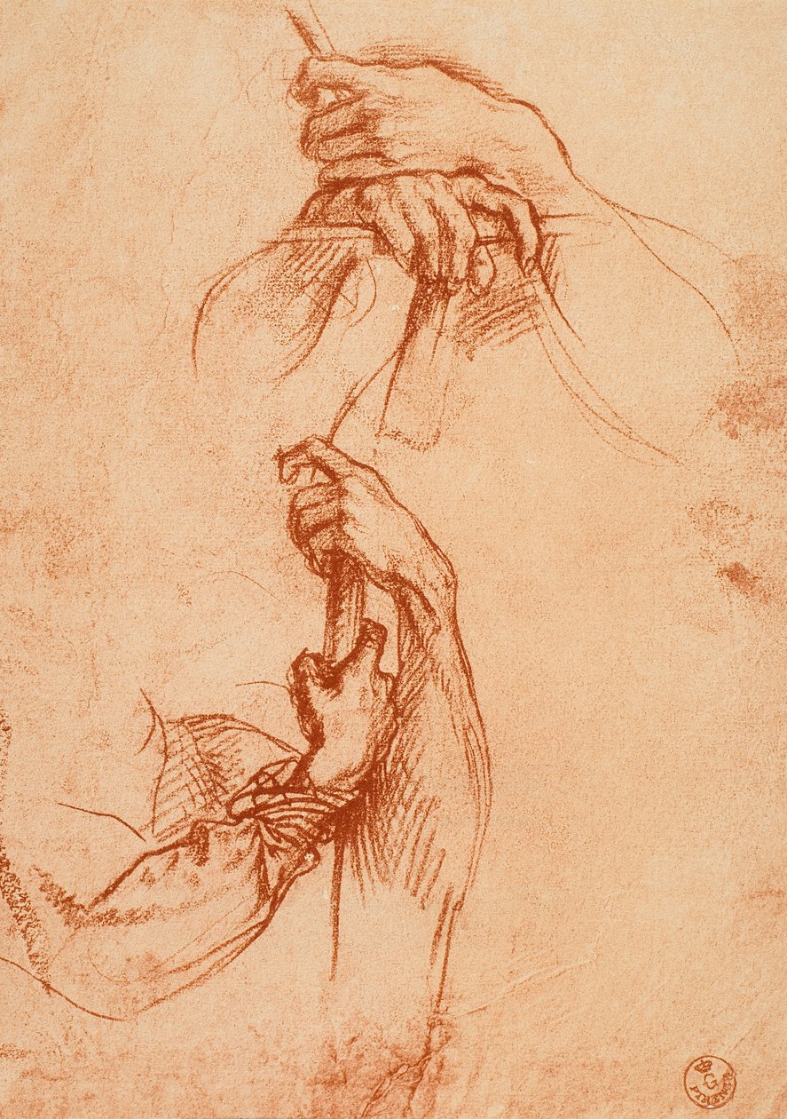 Studie af hænder af Andrea del Sarto