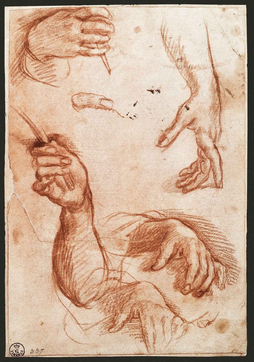 "Studie af hænder" tegnekul (charcoal) af Andrea del Sarto