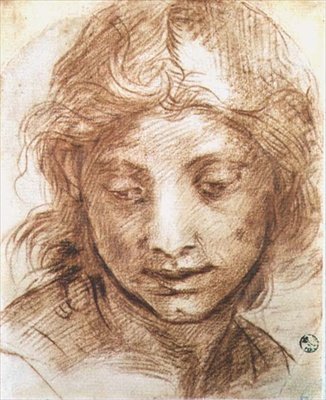 Studie af en ung kvindes hoved (kridt) af Andrea del Sarto