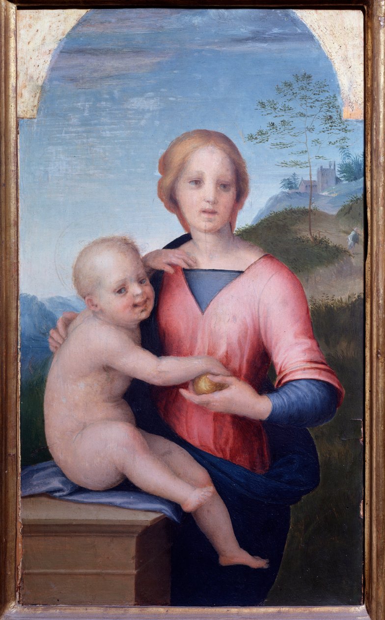 Jomfru med barn (maleri af Andrea del Sarto