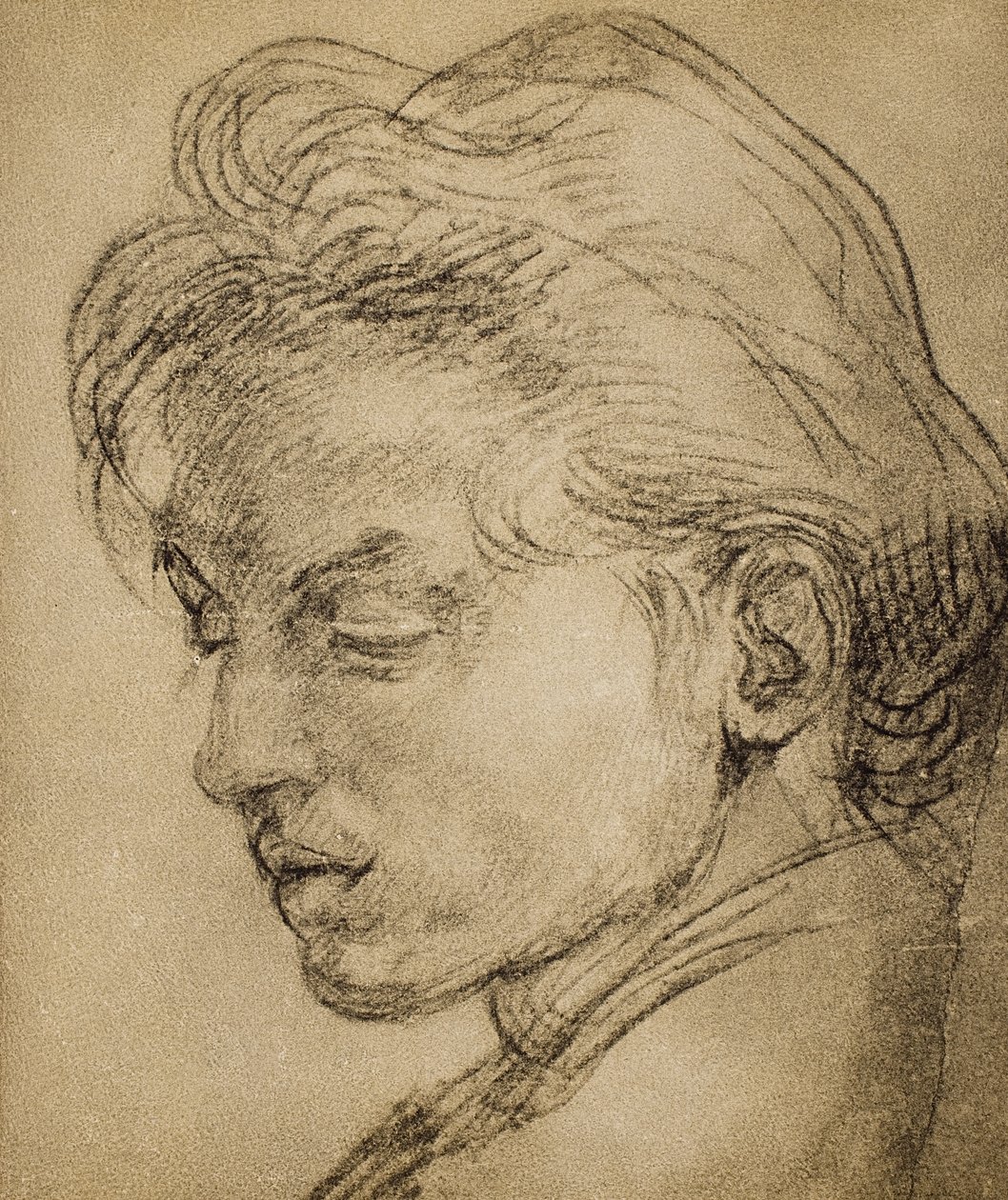 Virilt hoved i profil af Andrea del Sarto