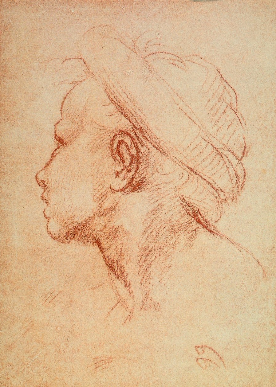 Unge hovedet i profil af Andrea del Sarto