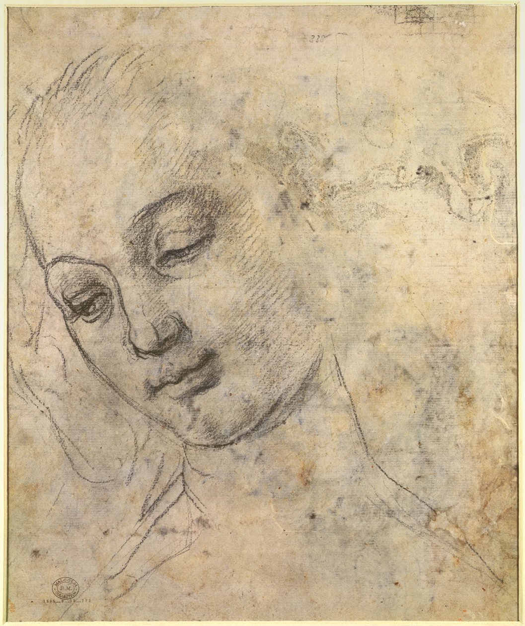 Portræt af et kvindeligt hoved (sort kridt på papir) af Andrea del Verrocchio