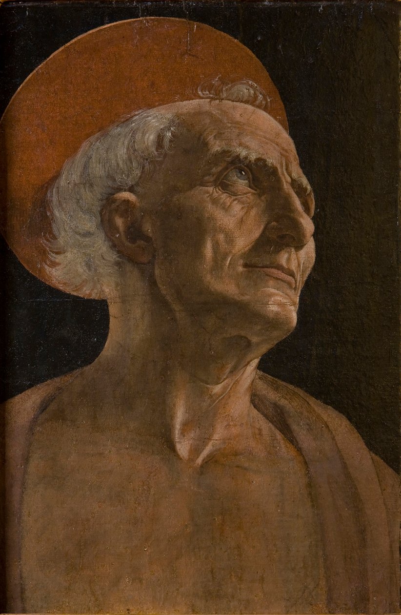 Sankt Jerome, ca. 1467-1469. af Andrea del Verrocchio