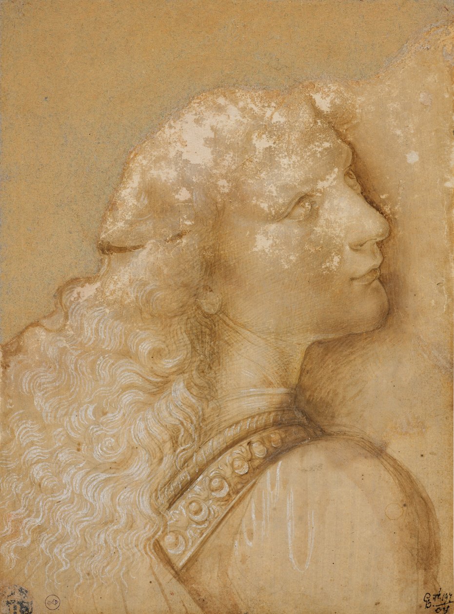 Buste af en ung mand, studere for englen fra "Kristi dåb" af Verrocchio, ca. 1475 (metalspids, okker akvarel og hvid blæk på forberedt papir lys okker) af Andrea del Verrocchio