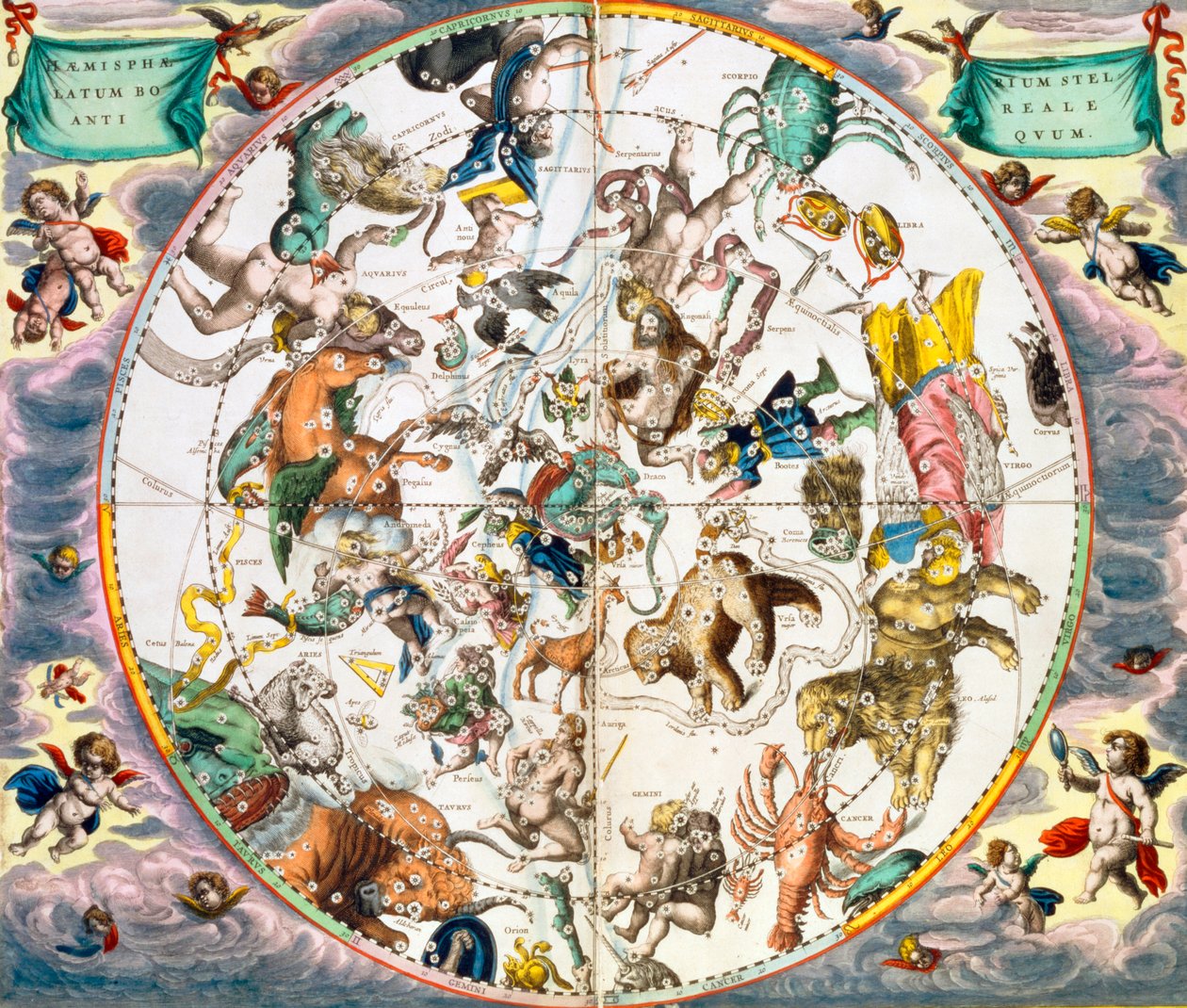 Himmelsk planisfære, der viser stjernetegnene, 1660-1661 af Andreas Cellarius
