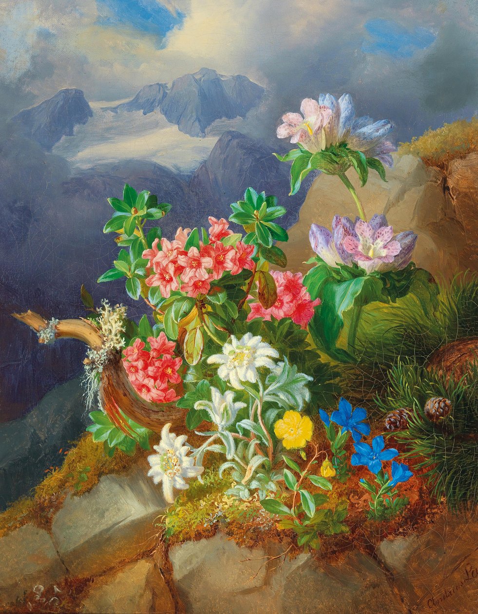 Alpine blomster af Andreas Lach
