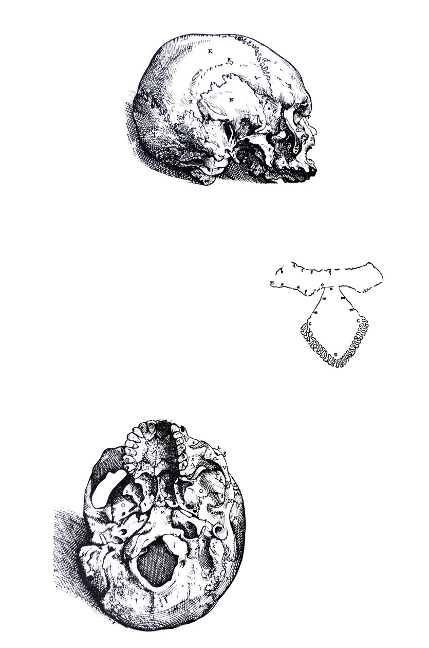 Pladerne fra den første bog af De Humani Corporis Fabrica af Andreas Vesalius
