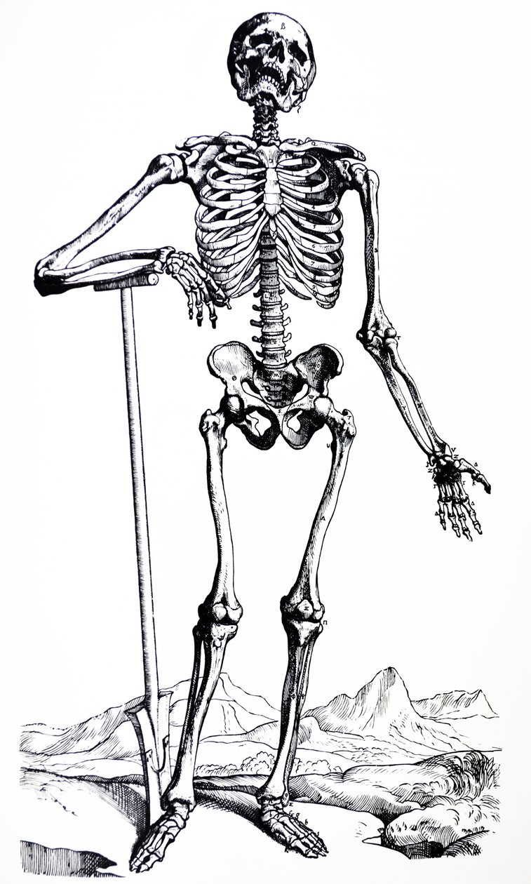 Pladerne fra den første bog af De Humani Corporis Fabrica af Andreas Vesalius