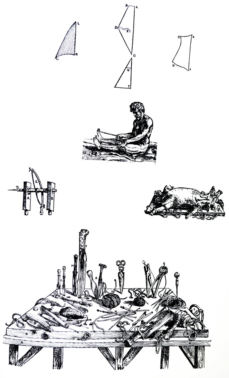 Pladerne fra anden bog af De Humani Corporis Fabrica af Andreas Vesalius