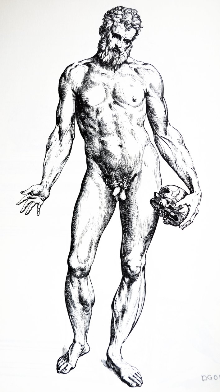 Pladerne fra den syvende bog af De Humani Corporis Fabrica af Andreas Vesalius
