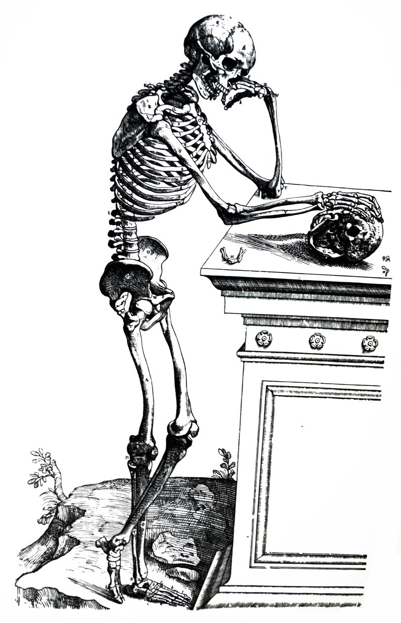 Pladerne fra den syvende bog i De Humani Corporis Fabrica af Andreas Vesalius