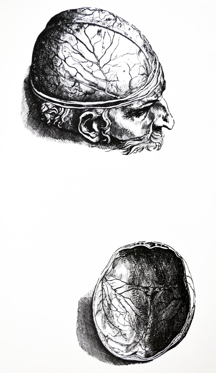 Pladerne fra den syvende bog i De Humani Corporis Fabrica af Andreas Vesalius