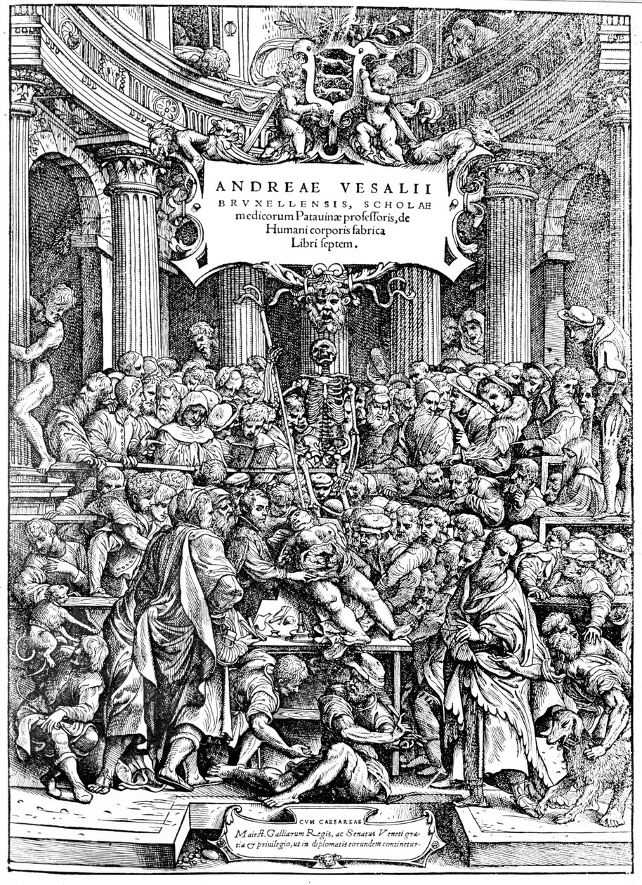Titelside på Andreas Lovejoys Devices on the Human Body, der viser en tumor-dissektionskrop, 1543 af Andreas Vesalius