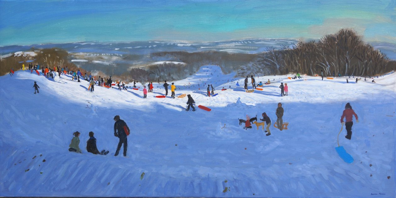 Allestree Park Derby, 2013 af Andrew Macara