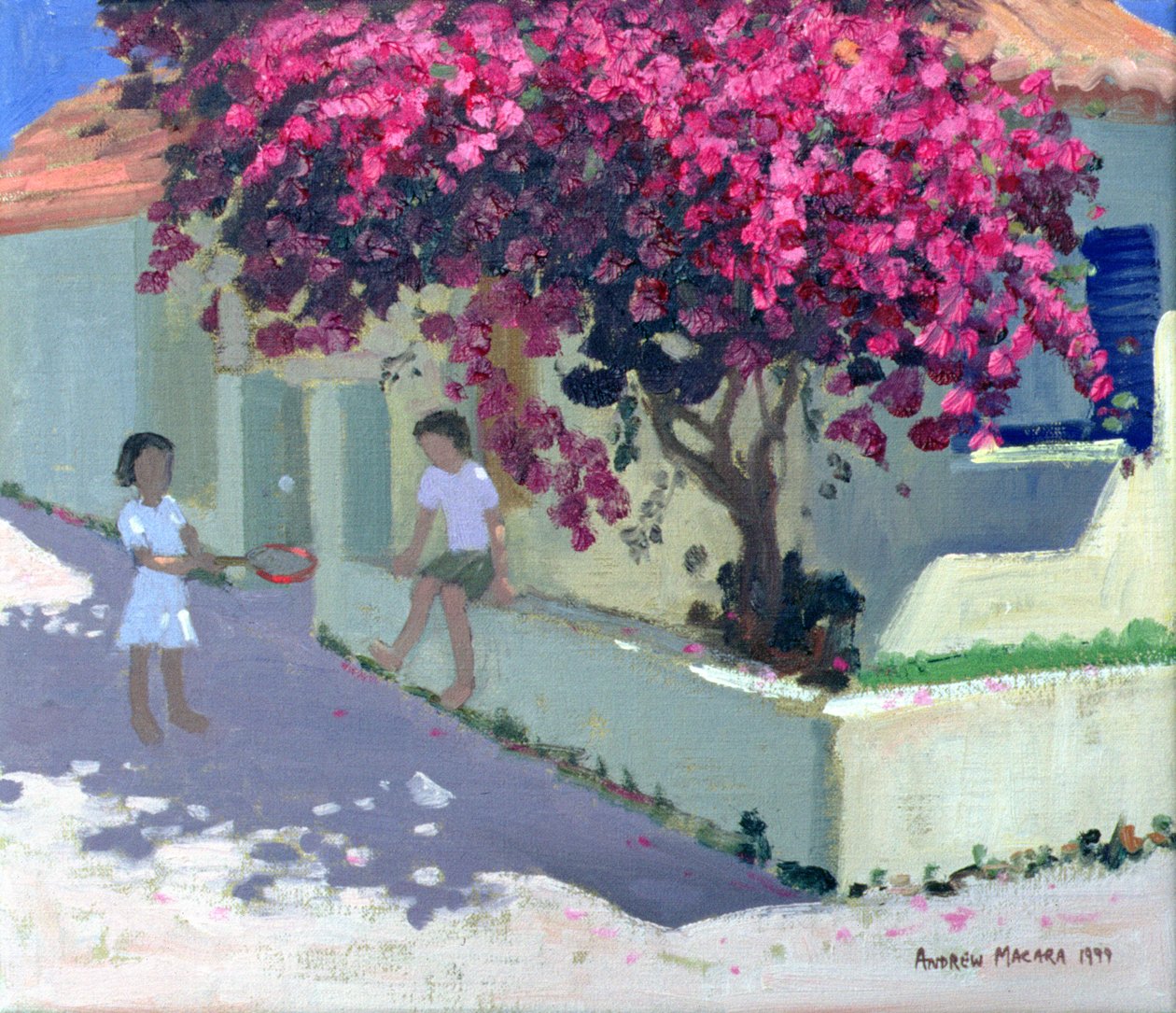 Bougainvillaea, Zante, 1999 af Andrew Macara