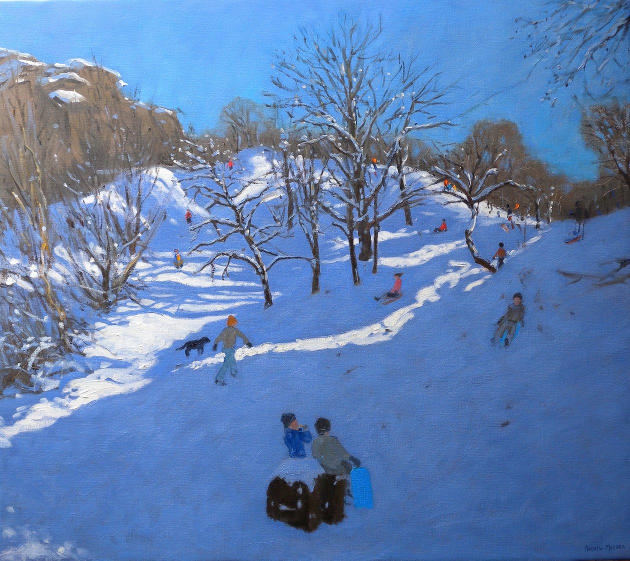 Bright Morning at Black Rocks, Derbyshire, 2009 af Andrew Macara