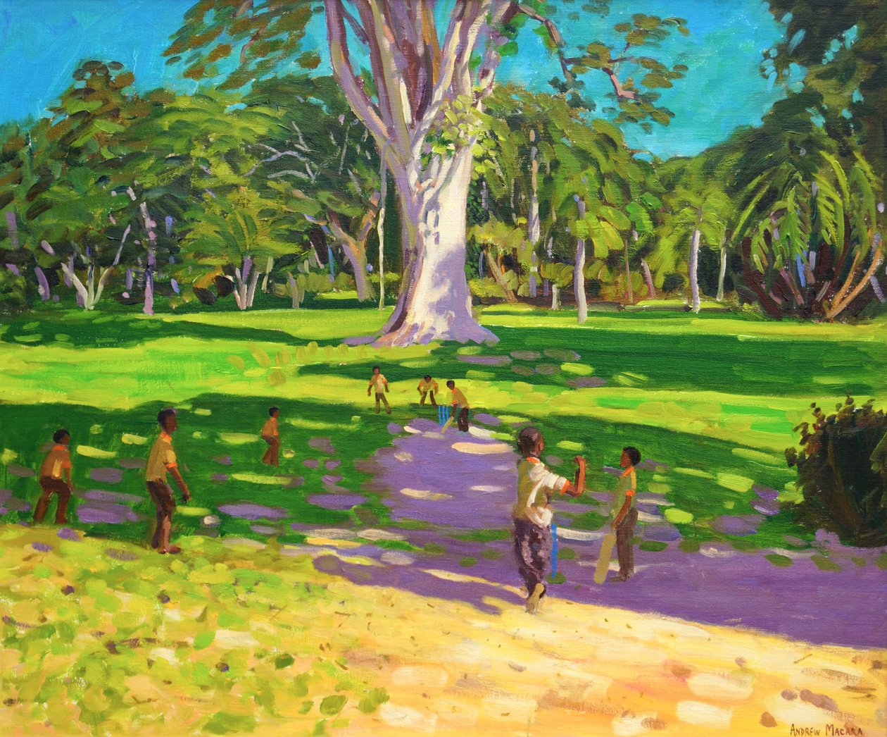 Cricketkamp, Botanisk Have, Dominica, Grenadinerne. 2011, af Andrew Macara